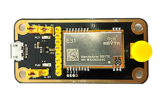 E31-433TBH-01